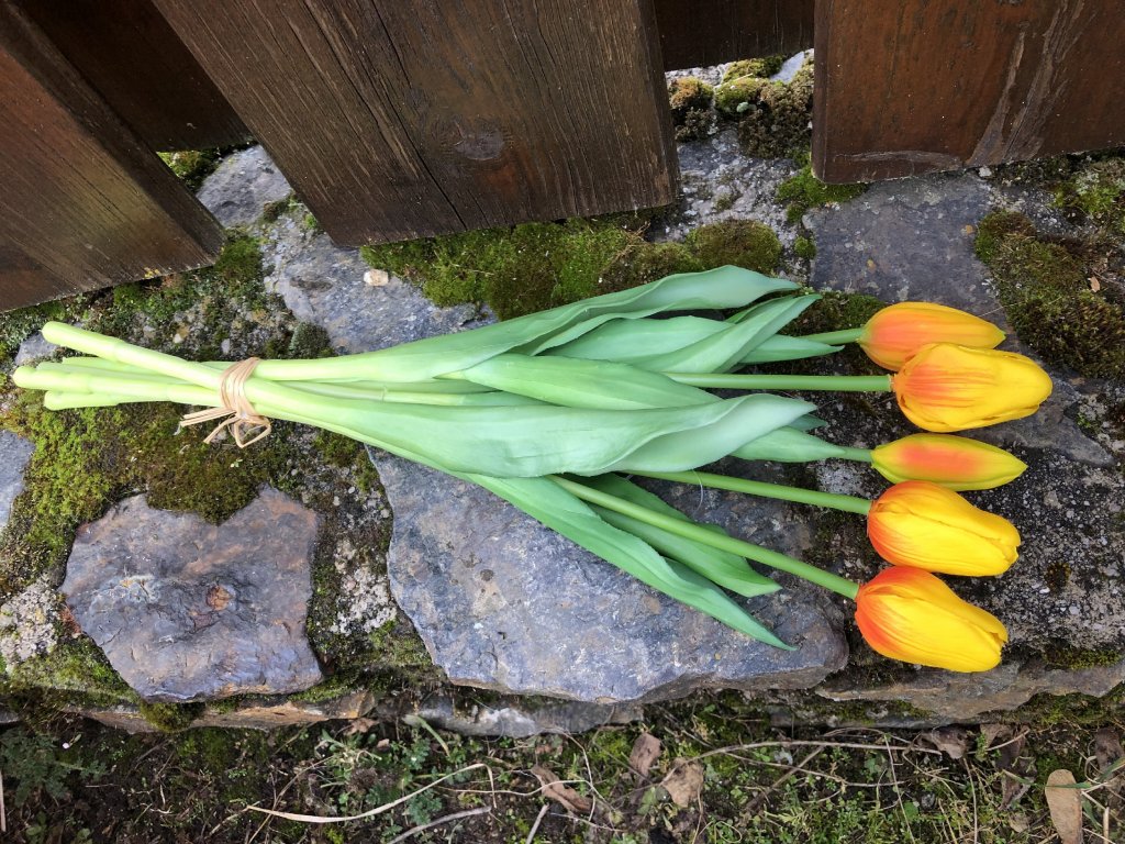 Latexové tulipány žluté svazek